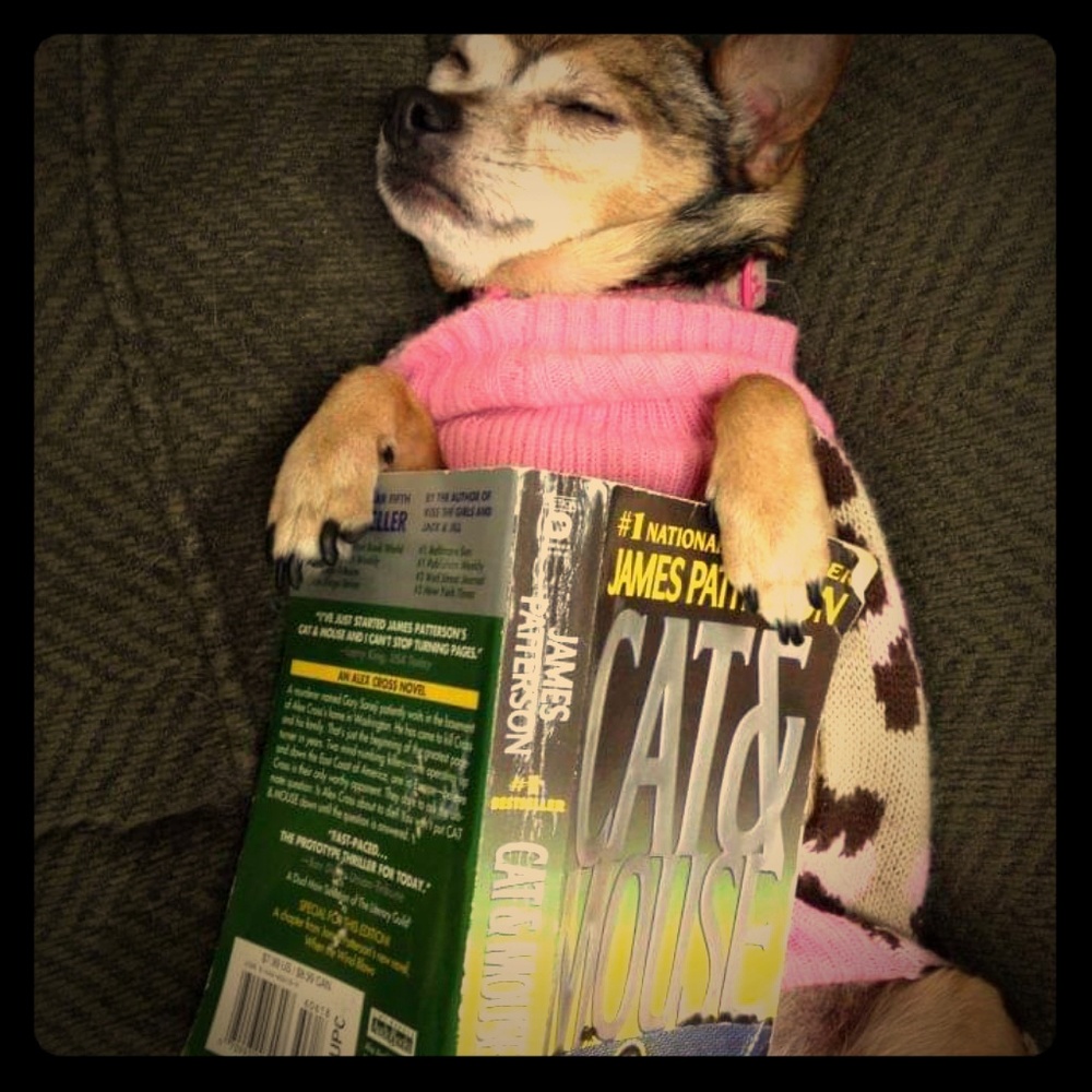 Meet your Posher, Brianna